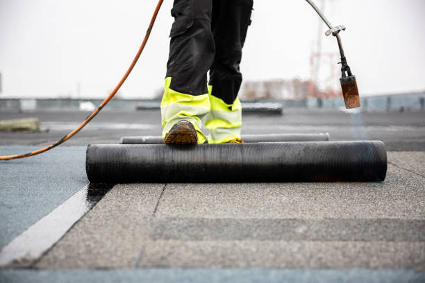 Best Roof Maintenance and Cleaning  in Port Lavaca, TX